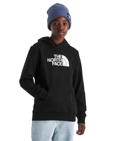 The North Face Big Boys Evolution Half Dome Pull On Hoodie In Black