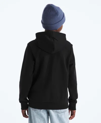 The North Face Big Boys Evolution Half Dome Pull On Hoodie In Black