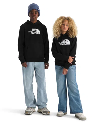 The North Face Big Boys Evolution Half Dome Pull On Hoodie In Black