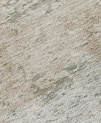 Dalyn Solace Washable Sl5 5'x7'6" Area Rug In Gray