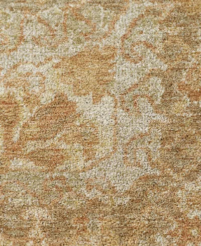 Dalyn Tabrook Washable Tb10 10'x14' Area Rug In Gold