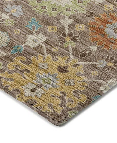 Dalyn Silk Road Washable Sr3 5'x7'6" Area Rug In Multi