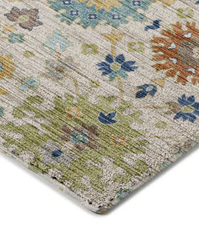 Dalyn Silk Road Washable Sr3 10'x14' Area Rug In Multi