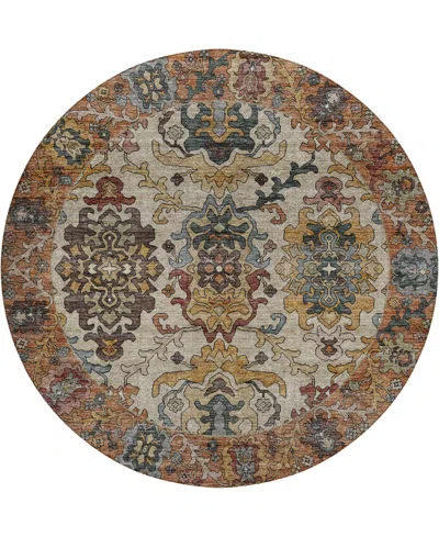 Dalyn Silk Road Washable Sr5 8'x8' Round Area Rug In Multi