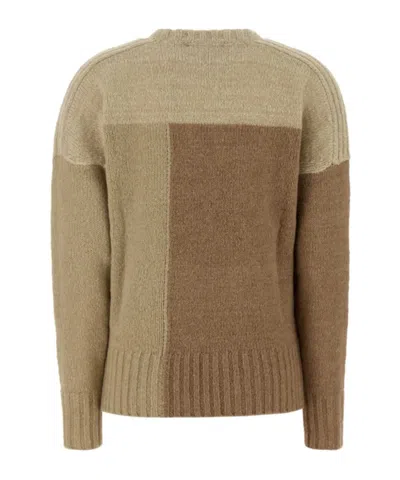 Isabel Marant Étoile Isabel Marant Etoile Multicolor Acrylic Blend Davy Sweater In Brown