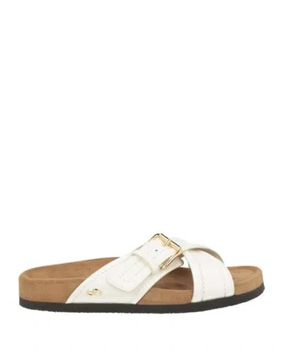Valentino Smooth Leather Fussfriend Slides For In White