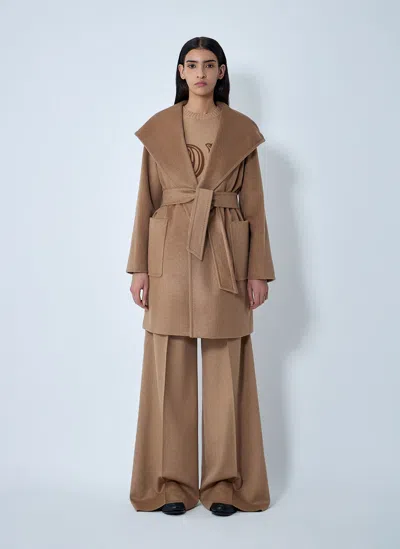 Max Mara Camelwool Coat In Brown