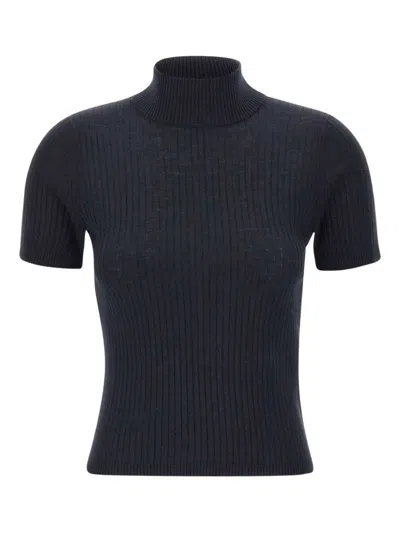 Max Mara Turtleneck Ribbed Top In Blue