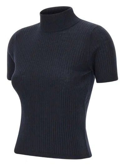Max Mara Turtleneck Ribbed Top In Blue