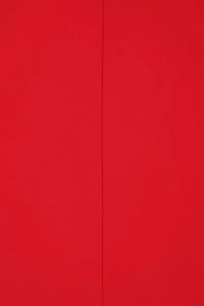 Alberta Ferretti Women Red Long Dress With Hooded Sleeves And Cut Out On The Back In Fabric Woman