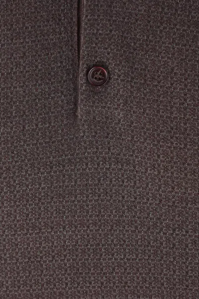 Loro Piana Long-sleeved Buttoned Polo Shirt In Brown
