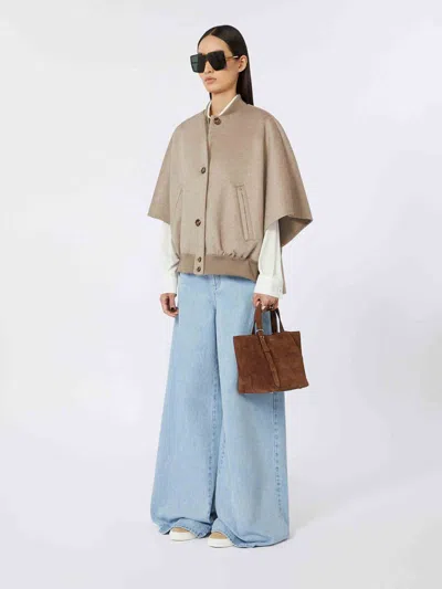 Max Mara Archetipo Mini Bag In Brown