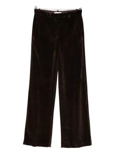 Circolo 1901 Velvet Trousers In Brown