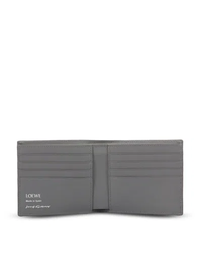 Loewe Wallets In Multi
