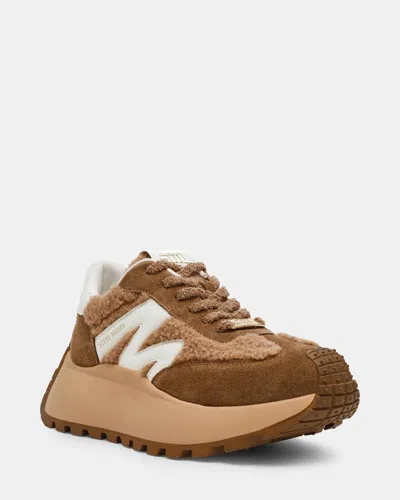 Steve Madden Sneakers In Brown