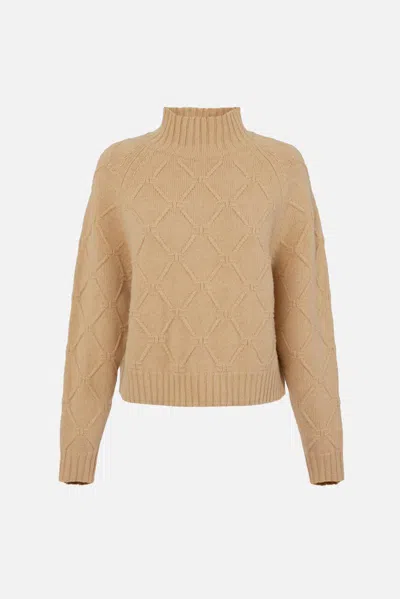 Elisabetta Franchi Textured Knit Mock Neck Top With Long Sleeves In Brown