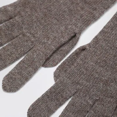 Darkpark Gloves In Gray