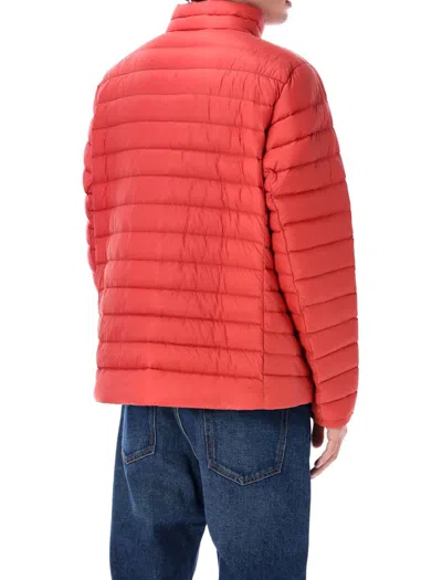 Patagonia Insulated Hoodie Featuring Adjustable Elements