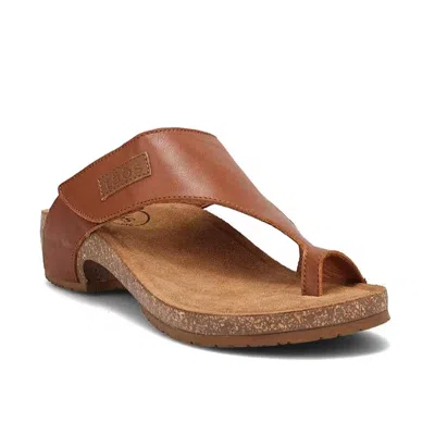 Taos Women's Loop Sandal In Brandy In Brown