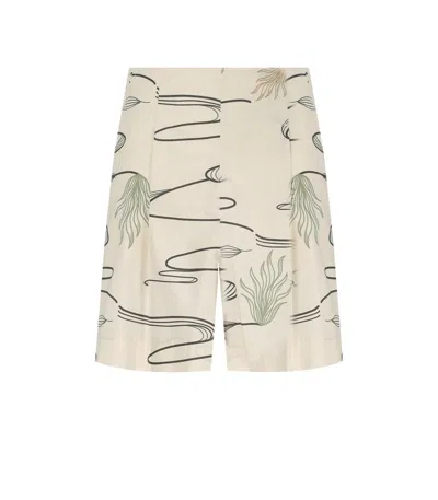 Mm Max Mara Agito Sabbia Bermuda Shorts In Gray