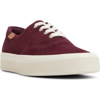 Sperry Candy Cvo Platform Sneaker In Purple