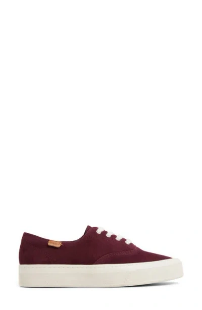 Sperry Candy Cvo Platform Sneaker In Purple