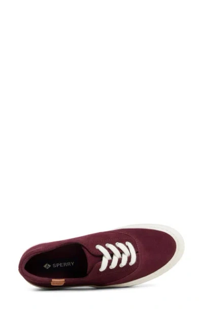 Sperry Candy Cvo Platform Sneaker In Purple