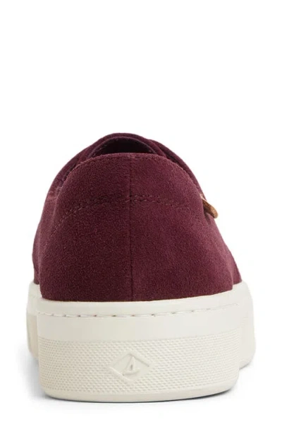 Sperry Candy Cvo Platform Sneaker In Purple