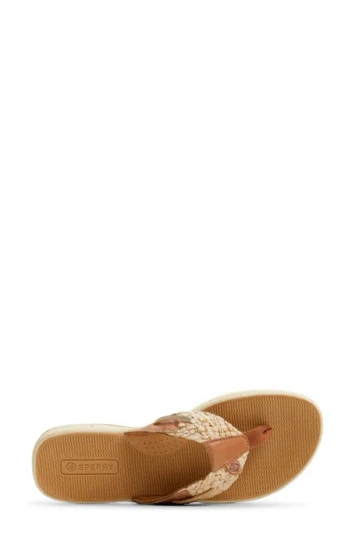 Sperry Parrotfish Sandal In Brown