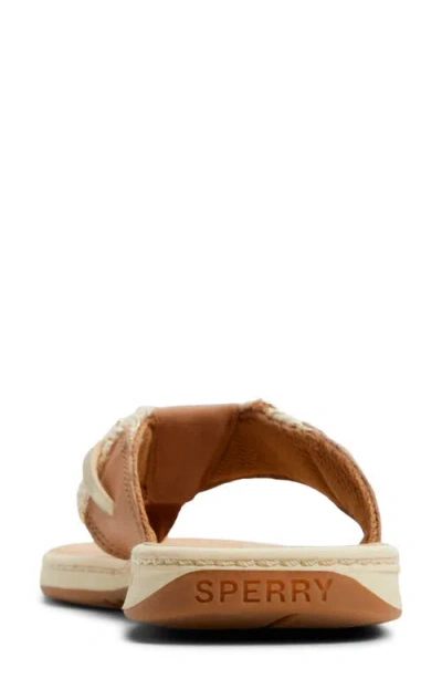 Sperry Parrotfish Sandal In Brown