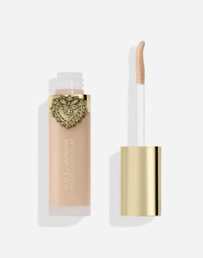 Dolce & Gabbana Everlast Concealer In Multi