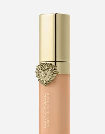 Dolce & Gabbana Everlast Concealer In Neutral