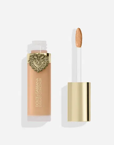 Dolce & Gabbana Everlast Concealer In Transparent