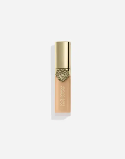 Dolce & Gabbana Everlast Concealer In Transparent