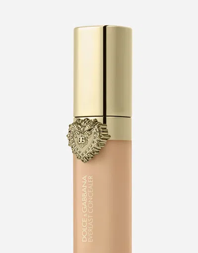 Dolce & Gabbana Everlast Concealer In Transparent