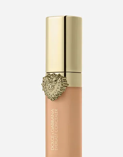 Dolce & Gabbana Everlast Concealer In Transparent