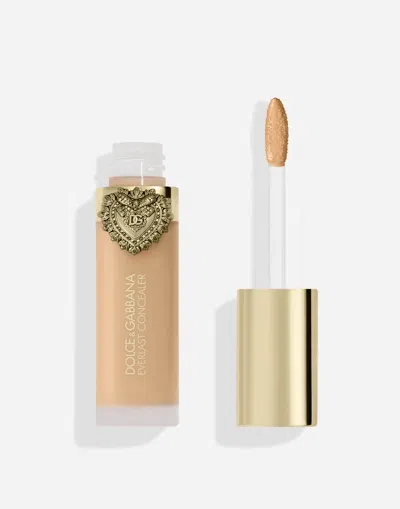 Dolce & Gabbana Everlast Concealer In Transparent
