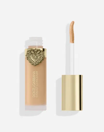 Dolce & Gabbana Everlast Concealer In Transparent