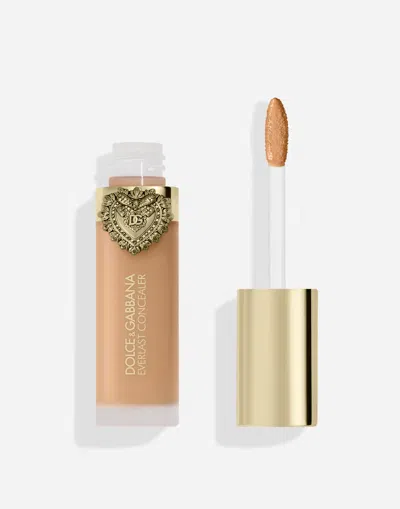 Dolce & Gabbana Everlast Concealer In Transparent