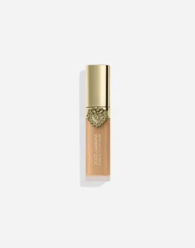 Dolce & Gabbana Everlast Concealer In Transparent