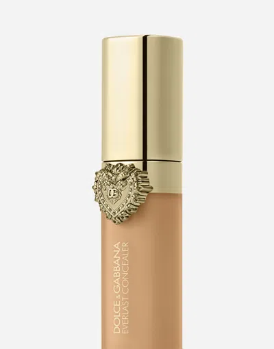 Dolce & Gabbana Everlast Concealer In Transparent