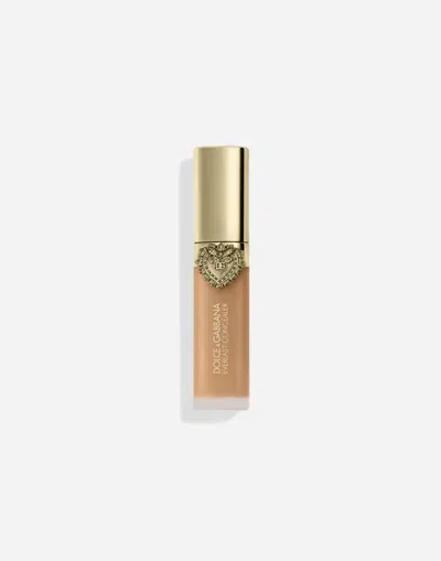 Dolce & Gabbana Everlast Concealer 21 - Medium In Transparent