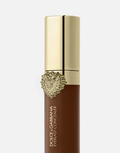 Dolce & Gabbana Everlast Concealer 40 - Deep In Brown