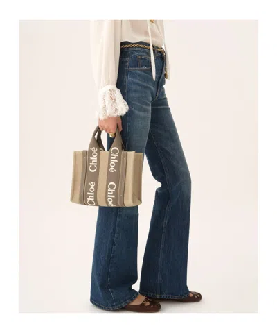 Chloé Small Woody Tote Bag In Linen In Brown