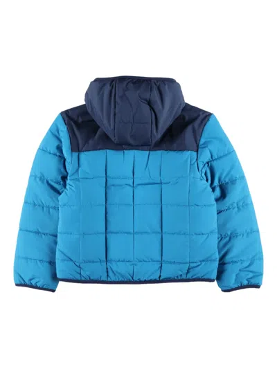 The North Face Reversible Hooded Jacket In Blue