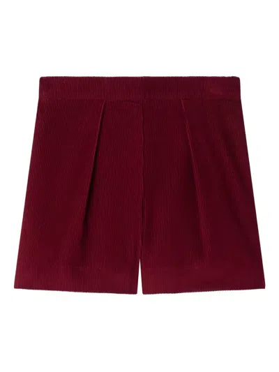Bonpoint Pleated Corduroy Shorts In Red