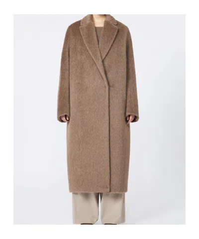 Max Mara Teddy Bear Coat In Brown