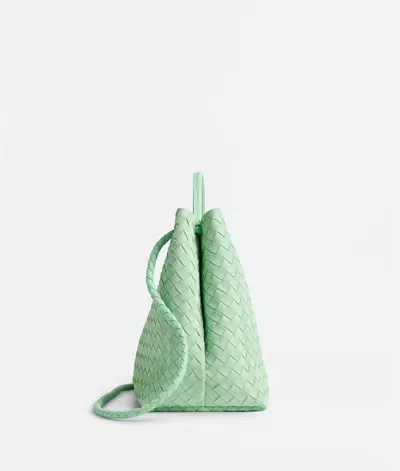 Bottega Veneta Large Andiamo In Green