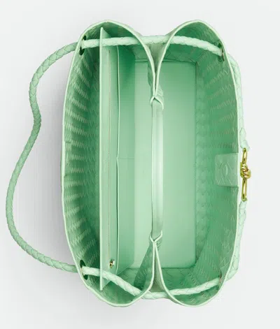 Bottega Veneta Large Andiamo In Green