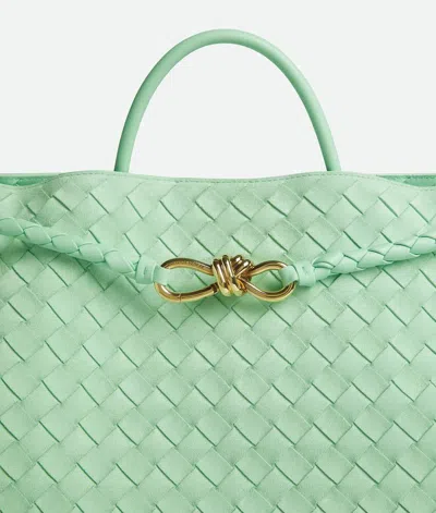 Bottega Veneta Large Andiamo In Green